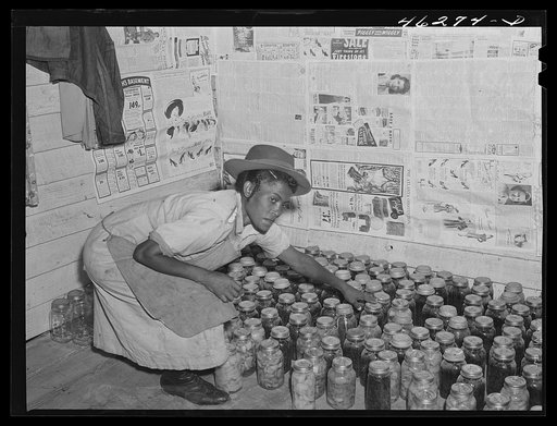 Untitled photo, possibly related to: Oakland community, Greene County, Georgia (vicinity). Mrs. Gus Wright, FSA (Farm Security Administration) client, with some of her canned goods
