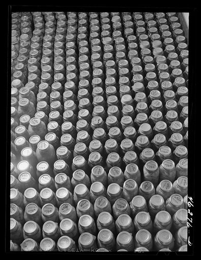 Greene County, Georgia. Canned goods put up by a Negro FSA (Farm Security Administration) family