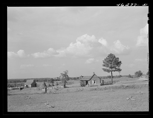 Untitled photo, possibly related to: Greensboro, Greene County, Georgia (vicinity). Landscape along the Penfield road