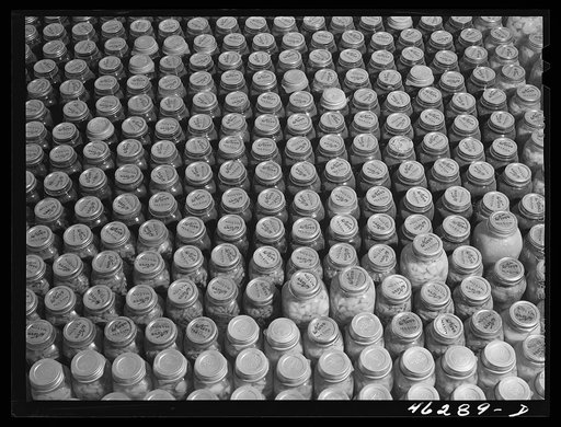 Greene County. Canned goods made by a Negro FSA (Farm Security Administration) family