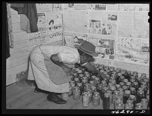 Oakland community, Greene County, Georgia (vicinity). Mrs. Gus Wright, FSA (Farm Security Administration) client, with some of her canned goods