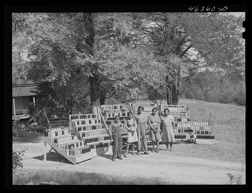 Untitled photo, possibly related to: FSA (Farm Security Administration) family with the 1000 cans of fruit, vegetables, etc. they have canned for the winter. Near White Plains, Greene County, Georgia