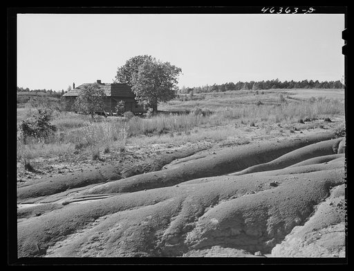 Erosion of a farm west of Greensboro, Greene County, Georgia