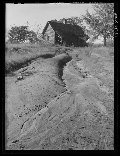 Erosion on a farm west of Greensboro, Greene County, Georgia