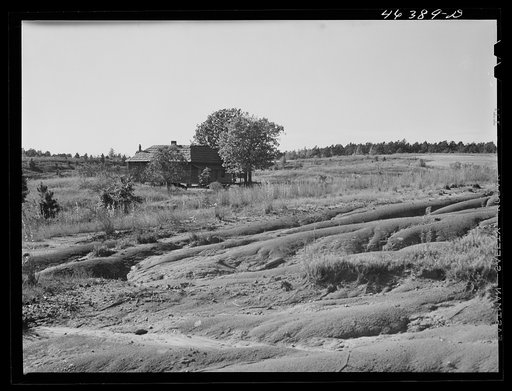 Untitled photo, possibly related to: Erosion of a farm west of Greensboro, Greene County, Georgia