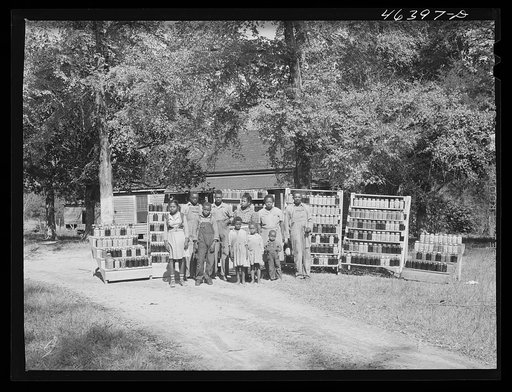 FSA (Farm Security Administration) family with the 1000 cans of fruit, vegetables, etc. they have canned for the winter. Near White Plains, Greene County, Georgia