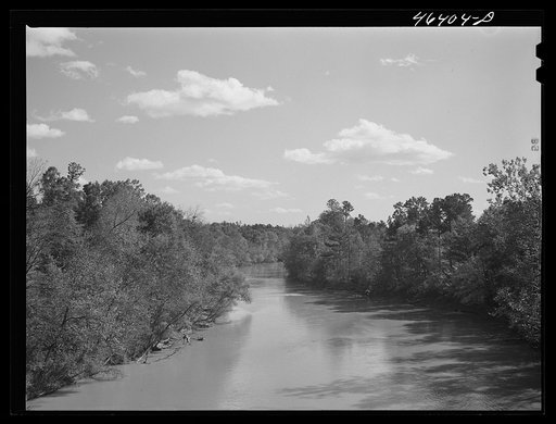 View of the Oconee River, Greene County, Georgia