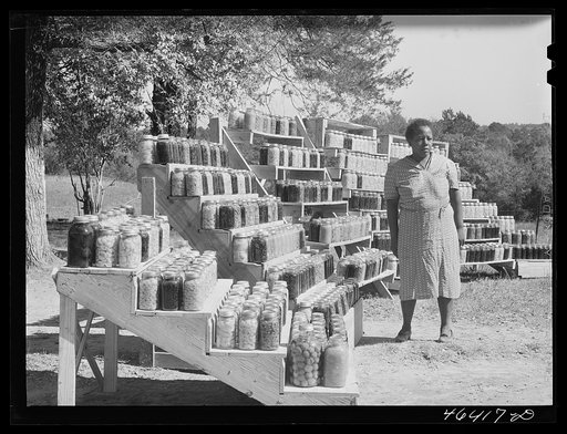 Untitled photo, possibly related to: FSA (Farm Security Administration) family with the 1000 cans of fruit, vegetables, etc. they have canned for the winter. Near White Plains, Greene County, Georgia
