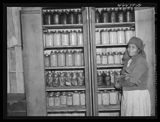 Mrs. Buck Grant FSA (Farm Security Administration) client, with her canned goods. Near Woodville, Greene County, Georgia
