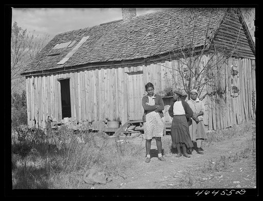 Family of FSA (Farm Security Administration) borrower near Carey Station, Greene County, Georgia
