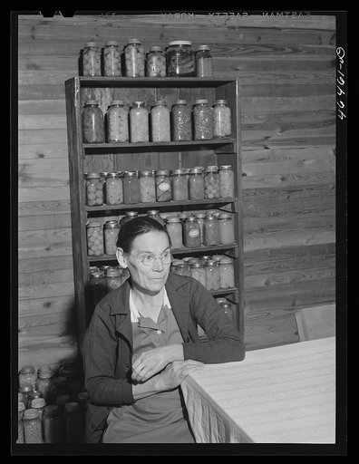 Mrs. Lloyd Clements, FSA (Farm Security Administration) borrower living on the Jackson place, near Mosquito crossing, Greene County, Georgia