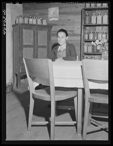 Untitled photo, possibly related to: Mrs. Lloyd Clements, FSA (Farm Security Administration) borrower living on the Jackson place, near Mosquito crossing, Greene County, Georgia