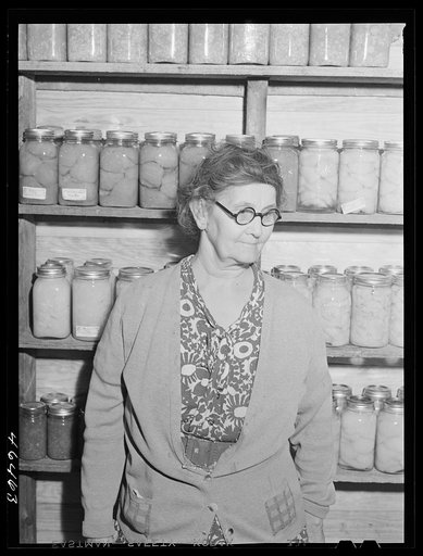 Mrs. Mary E. Sanders, FSA (Farm Security Administration) borrower near Siloam, Greene County, Georgia
