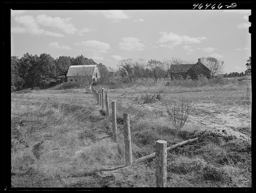 Fence recently built by FSA (Farm Security Administration) on a farm near Carey Station, Greene County, Georgia