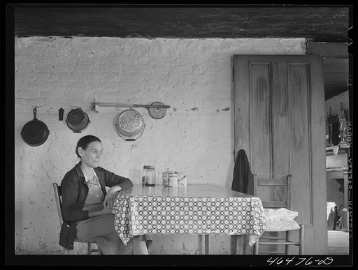 Mr. Lloyd Clements, FSA (Farm Security Administration) borrower living on the Jackson place, near Mosquito Crossing, Greene County, Georgia