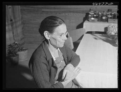 Mrs. Lloyd Clements, FSA (Farm Security Administration) borrower living on the Jackson place. Near Mosquito crossing, Greene County, Georgia
