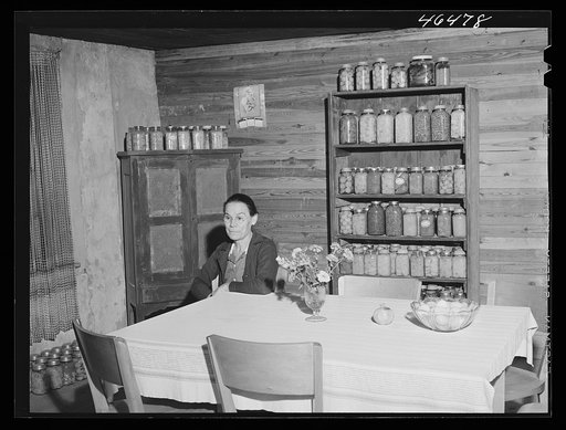 Untitled photo, possibly related to: Mrs. Lloyd Clements, FSA (Farm Security Administration) borrower living on the Jackson place, near Mosquito crossing, Greene County, Georgia