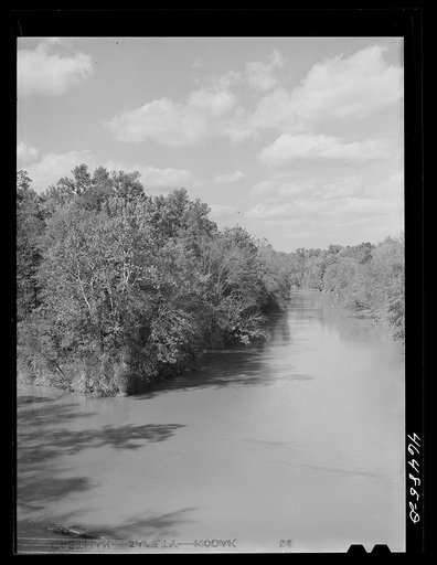 View of the Oconee River, Greene County, Georgia