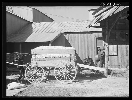 At the cotton gin on ginning at Siloam, Greene County, Georgia