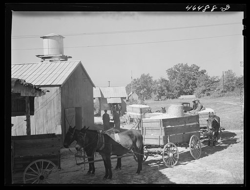 Untitled photo, possibly related to: At the cotton gin on ginning at Siloam, Greene County, Georgia