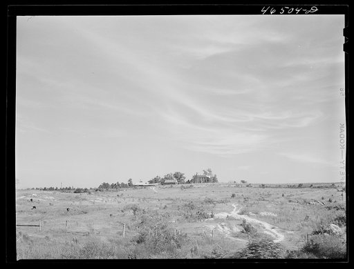 The old Jackson plantation, near Mosquito crossing, Greene County, Georgia