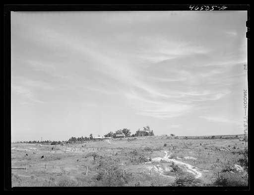 Untitled photo, possibly related to: The old Jackson plantation, near Mosquito crossing, Greene County, Georgia