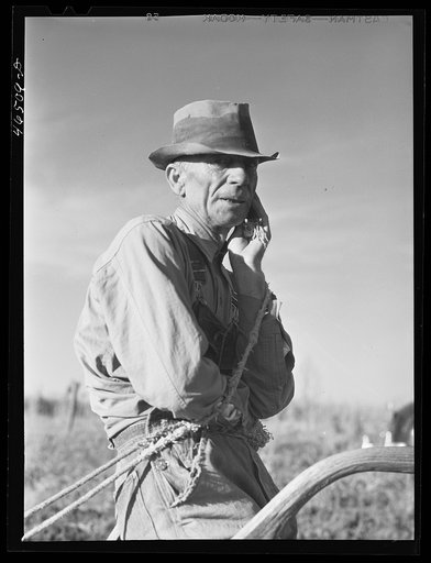 Mr. W.H. Holmes, a renter on the Wray place, plowing sweet potatoes, Greene County, Georgia