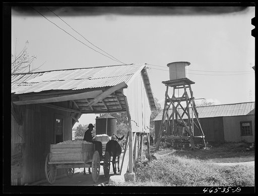 Untitled photo, possibly related to: At the cotton gin in Siloam on ginning day, Greene County, Georgia