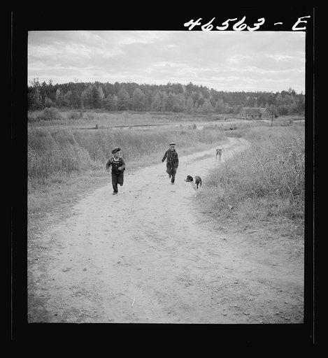 Boyd Jones and one of his friends coming back with their dogs from a trip into the woods. Greene County, Georgia