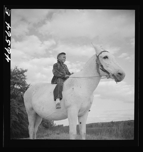 Untitled photo, possibly related to: Boyd Jones riding one of his father's mules on their farm in Greene County, Georgia