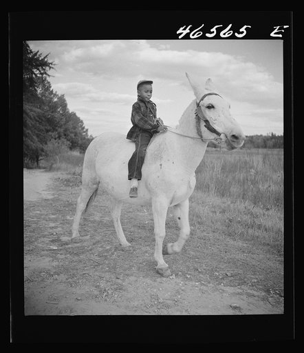 Boyd Jones riding one of his father's mules on their farm in Greene County, Georgia