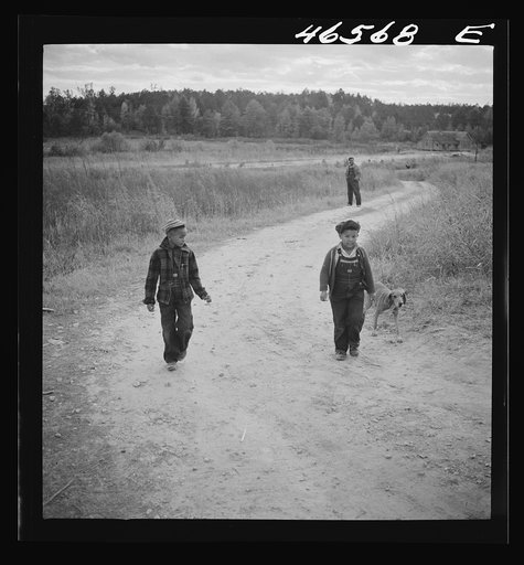 Untitled photo, possibly related to: Boyd Jones and one of his friends coming back with their dogs from a trip into the woods. Greene County, Georgia