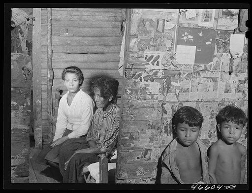 Manati, Puerto Rico (vicinity). Family of a farm laborer living on land which FSA (Farm Security Administration) is buying for a tenant purchase project