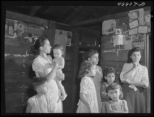 Manati, Puerto Rico (vicinity). Family of a FSA (Farm Security Administration) borrower