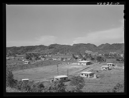 Untitled photo, possibly related to: Manati, Puerto Rico. Federal housing project
