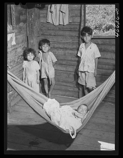 Manati, Puerto Rico (vicinity). Children of a farm laborer in their house which is on land FSA (Farm Security Administration) is buying for a tenant purchase project