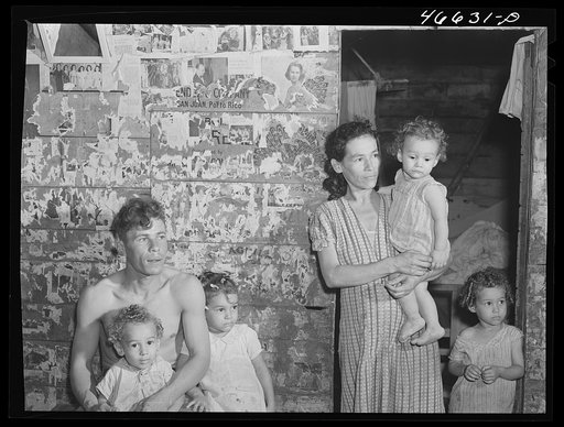 Manati, Puerto Rico (vicinity). Farm laborer's family living on a sugar plantation
