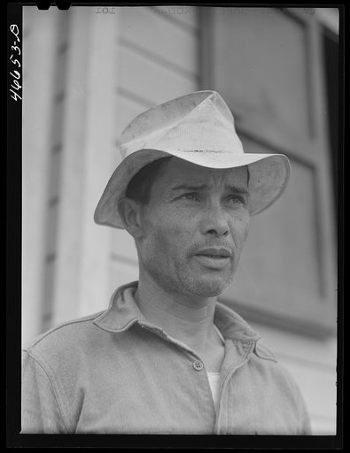 Untitled photo, possibly related to: Barranquitas, Puerto Rico (vicinity). A tenant purchase borrower