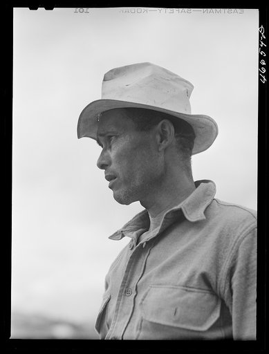 Untitled photo, possibly related to: Barranquitas, Puerto Rico (vicinity). A tenant purchase borrower