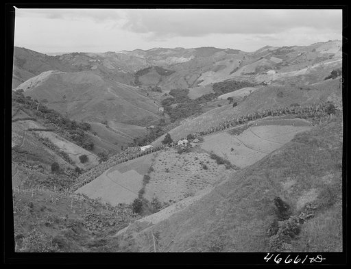 Corozal, Puerto Rico (vicinity). Hill farms in the country
