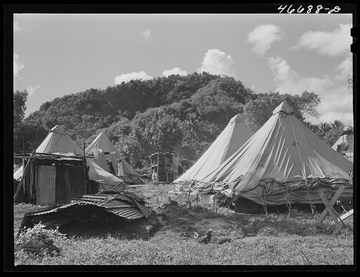 Untitled photo, possibly related to: Bayamon, Puerto Rico (vicinity). Tent colony of twenty-five families who had been squatters on land taken over the Navy. They are to be resettled by the land authority