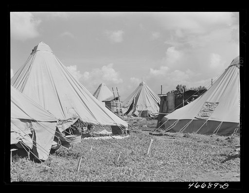 Untitled photo, possibly related to: Bayamon, Puerto Rico (vicinity). Tent colony of twenty-five families who had been squatters on land taken over by the Navy. They are to be resettled by the land authority