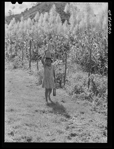 Bayamon, Puerto Rico (vicinity). Carrying groceries from the store on a farm