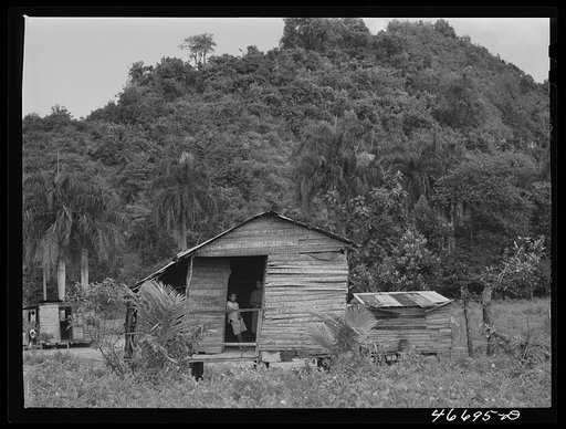 Bayamon, Puerto Rico (vicinity). Farm laborer's home