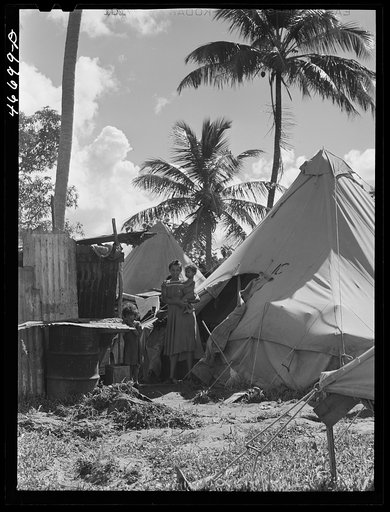 Bayamon, Puerto Rico (vicinity). Tent colony of twenty-five families who had been squatters on land taken over the Navy. They are to be resettled by the land authority