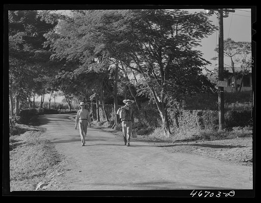 Bayamon, Puerto Rico (vicinity). Milk man going to town