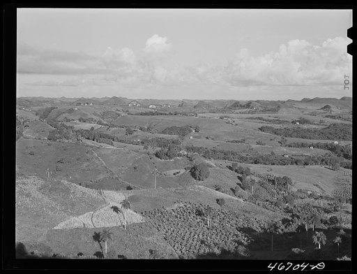 Corozal, Puerto Rico (vicinity). Small farms in the hills