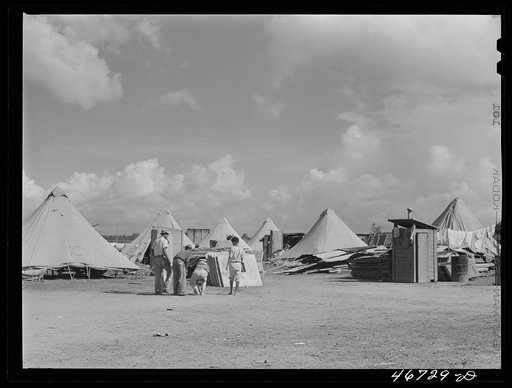 Untitled photo, possibly related to: Bayamon, Puerto Rico (vicinity). Tent colony of twenty-five families who had been squatters on land taken over by the Navy. They are to be resettled by the land authority