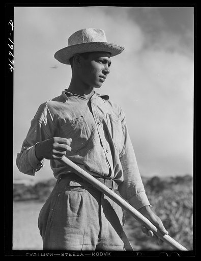 Barranquitas, Puerto Rico (vicinity). Son of a FSA (Farm Security Administration) borrower