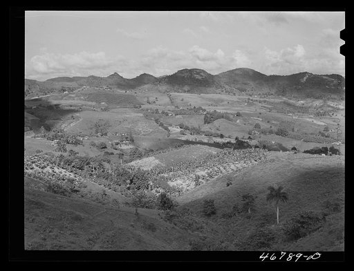 Corozal, Puerto Rico (vicinity). Small farms in the hills